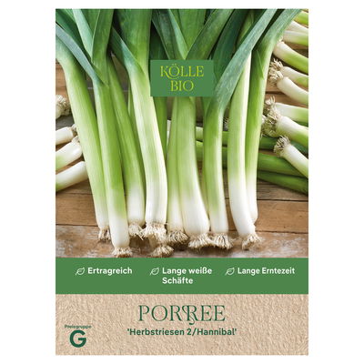Kölle Bio Gemüsesamen Porree