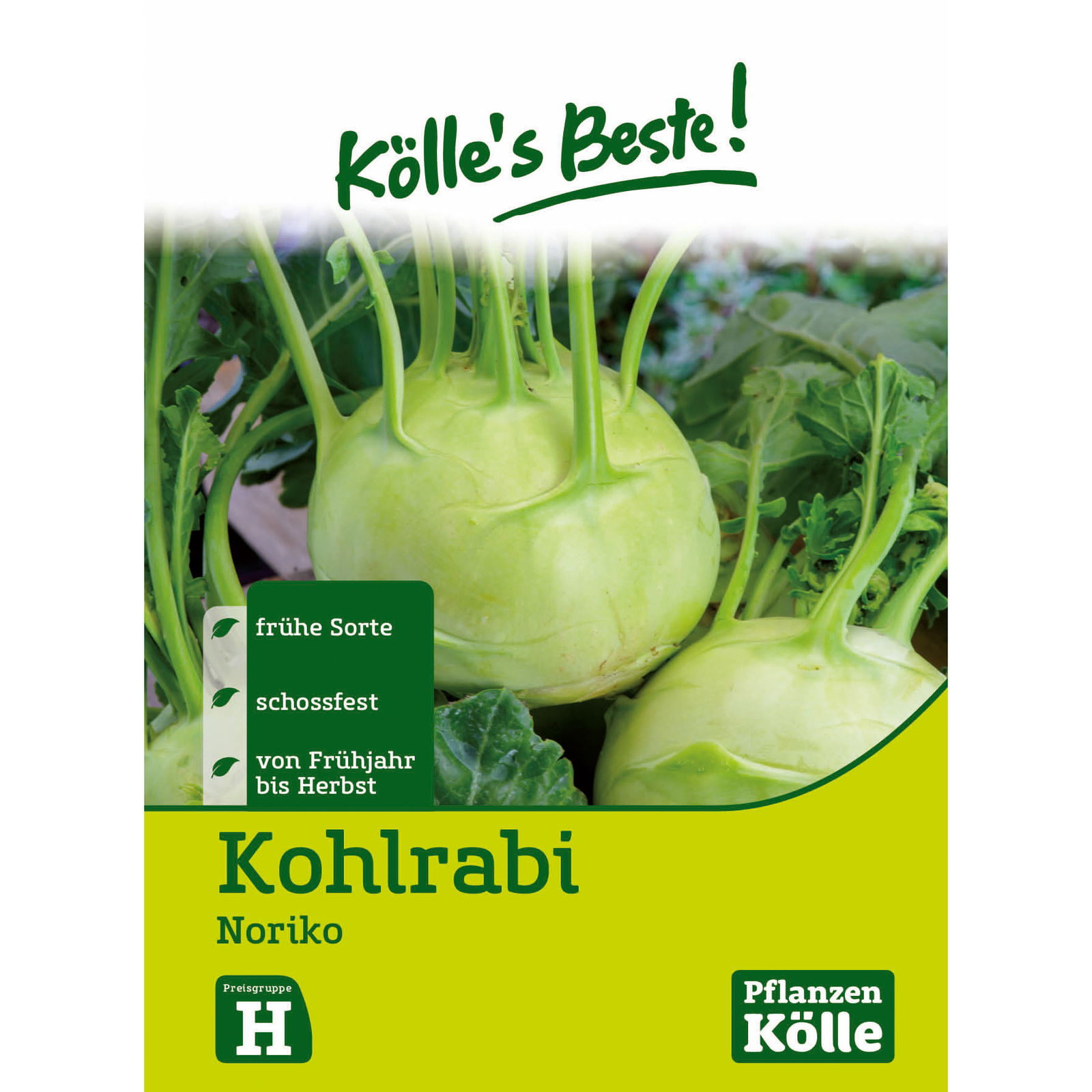 Kölle's Beste Kohlrabi 'Noriko'