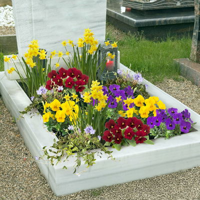 Grabbepflanzung Frühling bunt, 12 Pflanzen Grabbepflanzung Frühling bunt, 12 Pflanzen