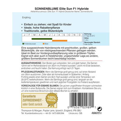 Sonnenblume (Helianthus annuus) Elite Sun F1 Hybride / einjährig, robust, hoch Sonnenblume (Helianthus annuus) Elite Sun F1 Hybride / einjährig, robust, hoch