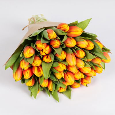 50 rot/gelbe Tulpen 50 rot/gelbe Tulpen