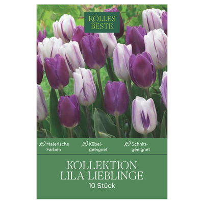 Tulpenmischung Lila Lieblinge, 10 Blumenzwiebeln