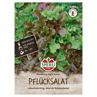 Sperli Gemüsesamen, Pflücksalat 'Mischung aus 3 Sorten' Sperli Gemüsesamen, Pflücksalat 'Mischung aus 3 Sorten'