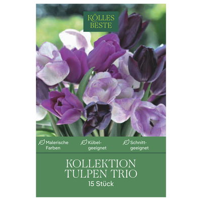 Tulpenmischung 'Trio' aus Negrita, Queen of Night & Shirley, 15 Blumenzwiebeln Tulpenmischung 'Trio' aus Negrita, Queen of Night & Shirley, 15 Blumenzwiebeln
