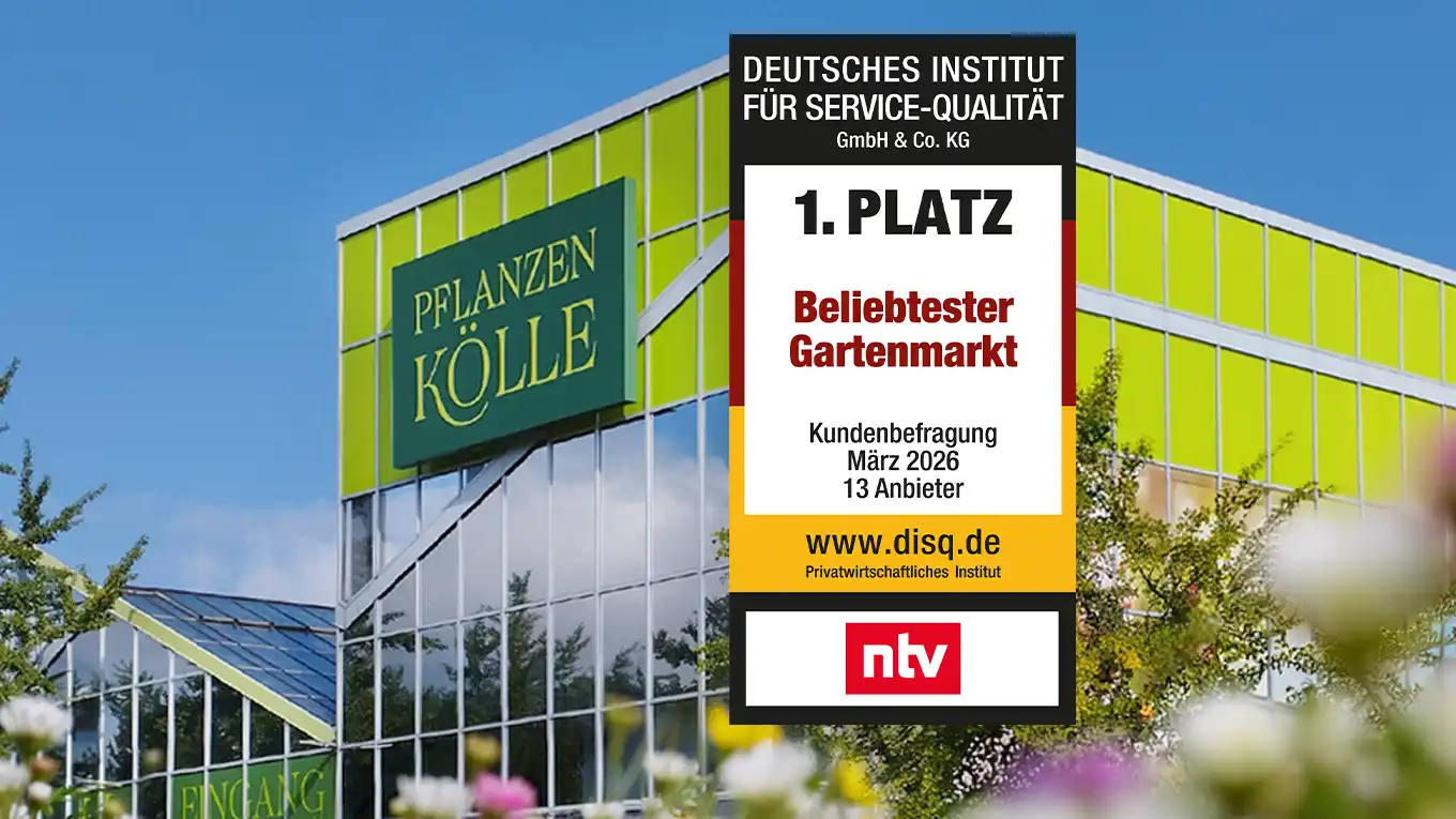 Beliebtester Gartenmarkt