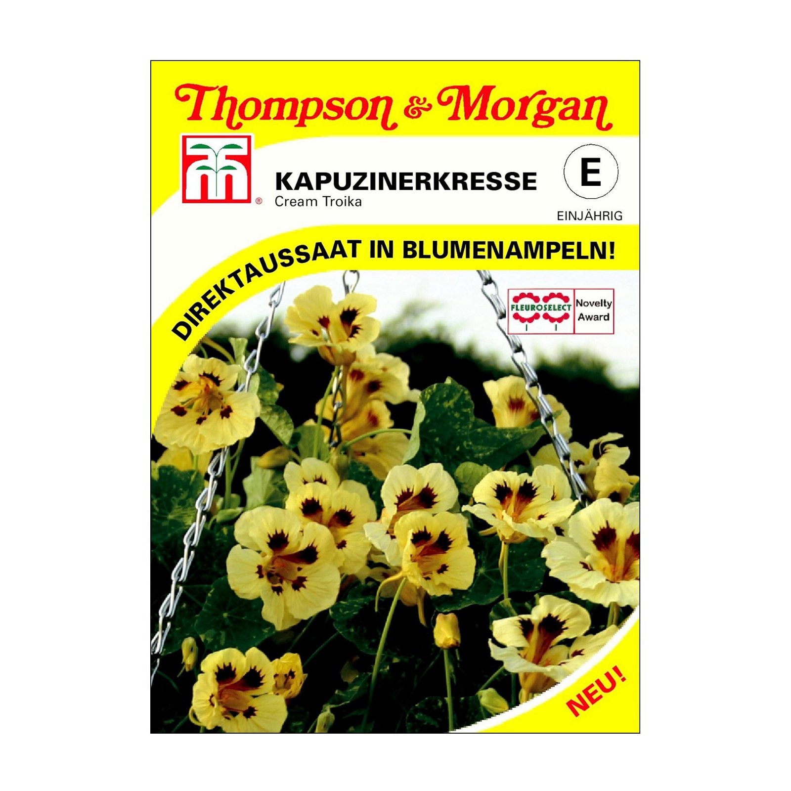 Kapuzinerkresse (Tropaeolum) Cream Troika / rankende Pflanze, einjährig, robust