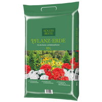 Pflanzenkreation Gartenromantik, 6 Pflanzen inkl. Erde und Dünger Pflanzenkreation Gartenromantik, 6 Pflanzen inkl. Erde und Dünger