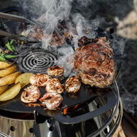 Petromax Einsatz für 'Atago'-Grillplatte