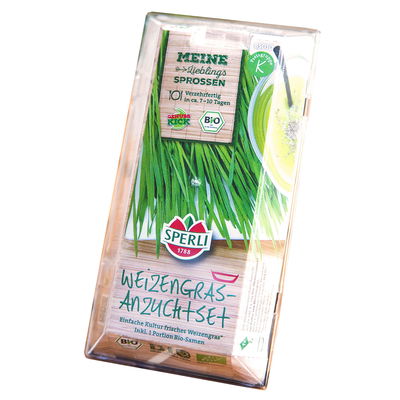 Bio-Keimsprossen, Weizen, Starter-Set, grün