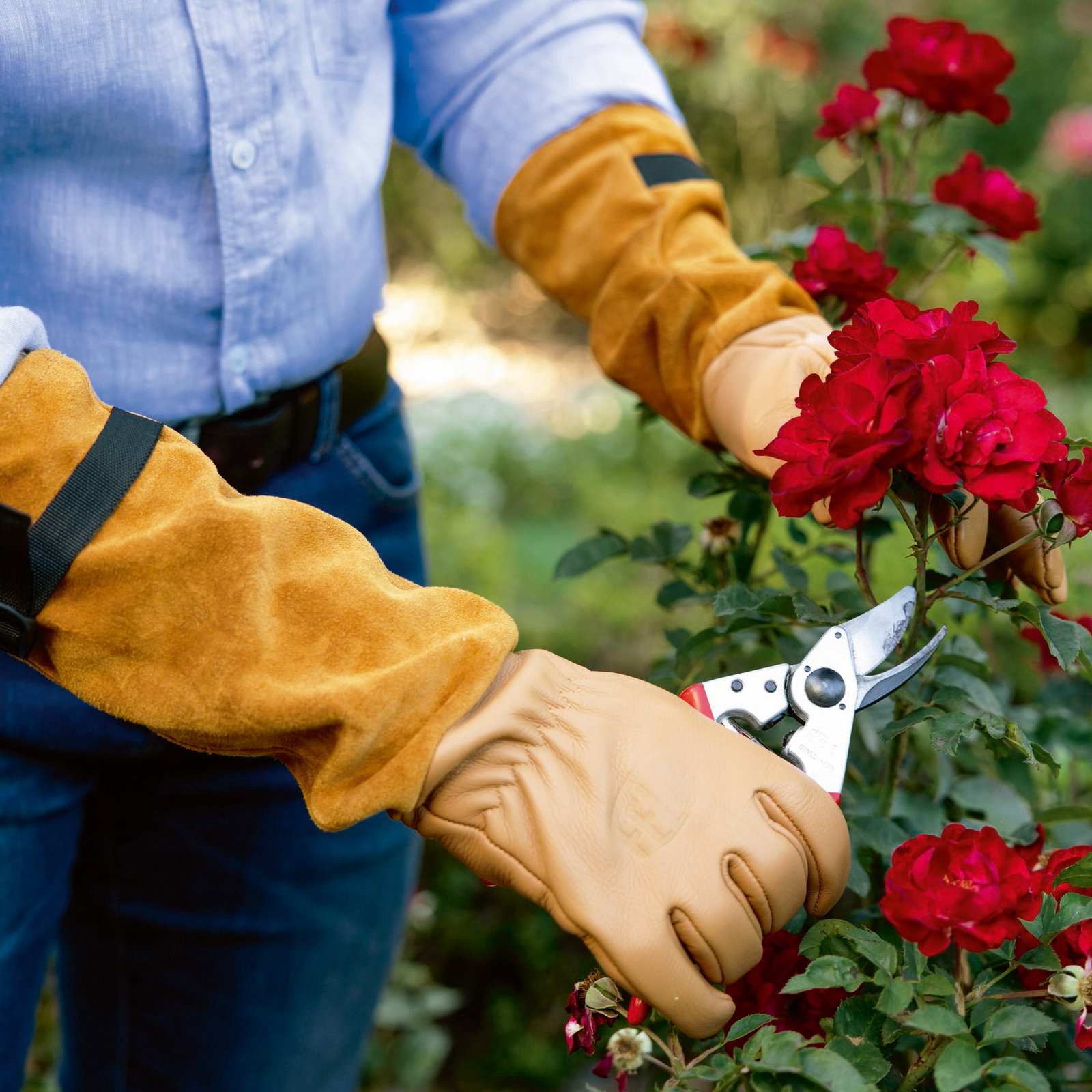 Felco Rosenhandschuh 705, Größe M