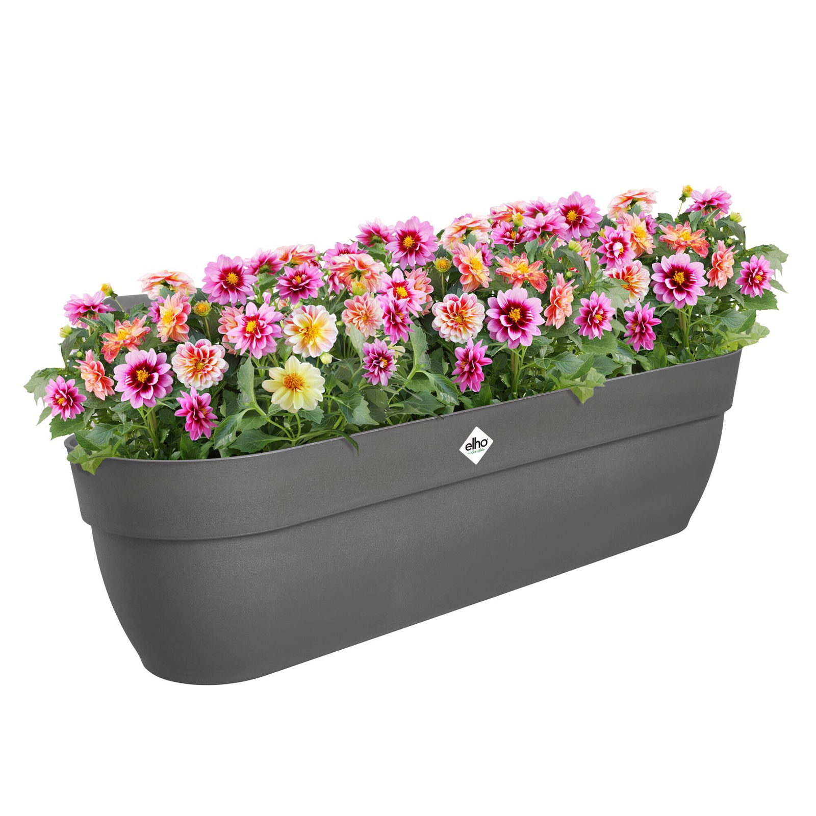 Elho Pflanzgefäß 'Vibia Campana Easy Hanger XXL', anthrazit Elho Pflanzgefäß 'Vibia Campana Easy Hanger XXL', anthrazit