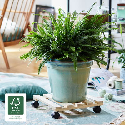 Wagner Pflanzenroller 'Paletti', natur, ca. 35 x 35 cm Wagner Pflanzenroller 'Paletti', natur, ca. 35 x 35 cm