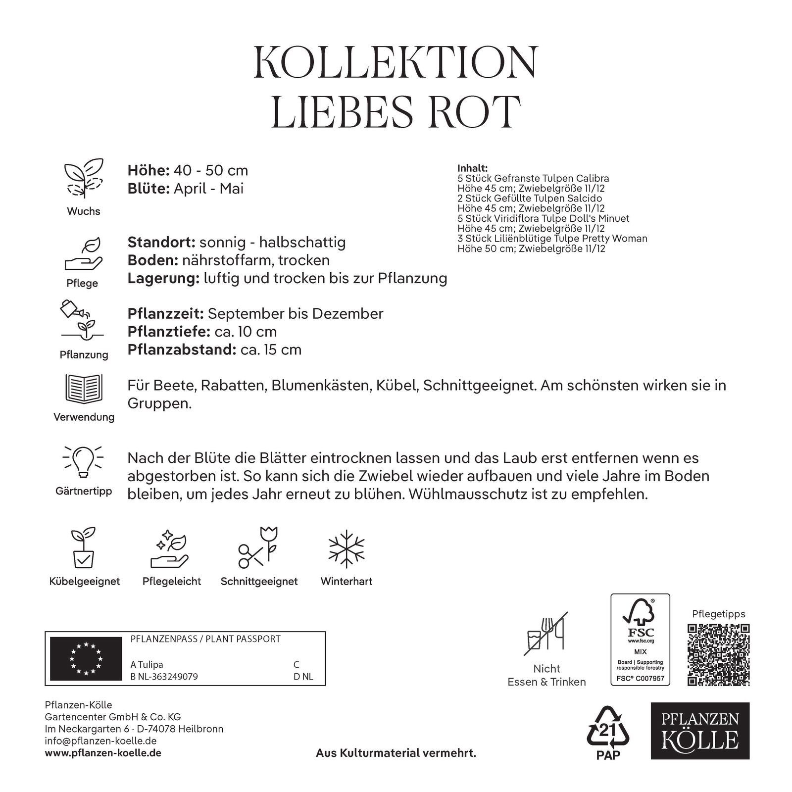 Tulpenmischung 'Liebes Rot', Größe 12+, 15 Blumenzwiebeln