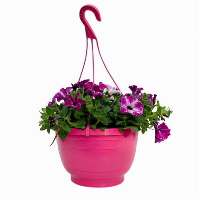Hängepetunie 'Circus Sky', pink-weiß, Ampeltopf 27 cm Ø mit Wasserspeicher