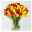 Blumenbund mit Tulpen, 50er-Bund, rot-gelb-orange/gelb, inkl. gratis Grußkarte