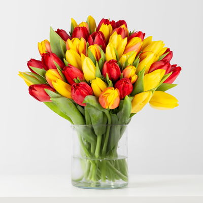 50 Tulpen, rot, gelb & orange/gelb