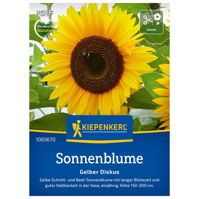 Sonnenblumensamen, Sonnenblume 'Gelber Diskus' Sonnenblumensamen, Sonnenblume 'Gelber Diskus'