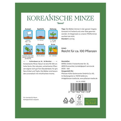 Kölles Beste Kräutersamen, Koreanische Minze 'Seoul'