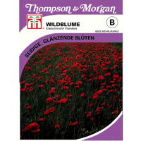 Thompson & Morgan Blumensamen Wildblume Klatschmohn Flanders