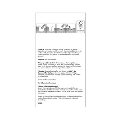 Gefüllte Freesien Mischung, gelb, weiß, orange