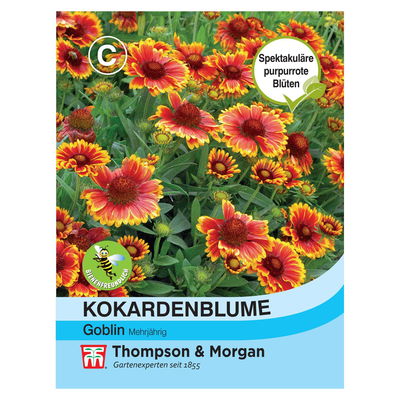 Samen Kokardenblume 'Gobin', rot