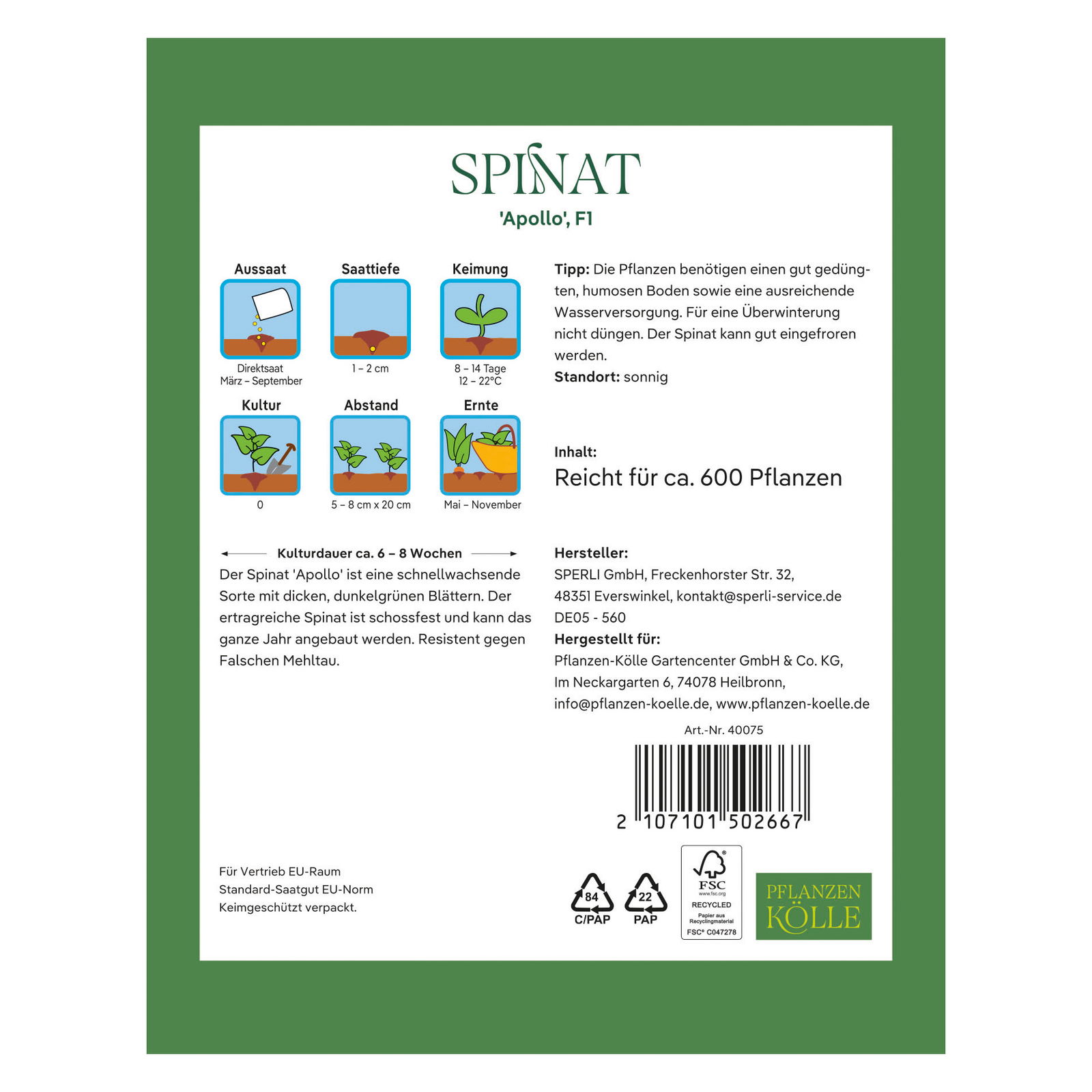 Kölles Beste Saatgut Spinat 'Apollo', grün