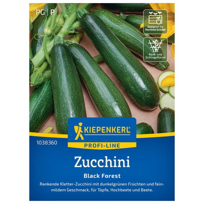 Kiepenkerl Saatgut Zucchini 'Black Forest®', grün Kiepenkerl Saatgut Zucchini 'Black Forest®', grün
