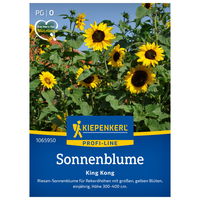 Saatgut Sonnenblume 'King Kong'