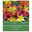 Wildtulpen Kollektion 'Trockenkünstler', 100 Blumenzwiebeln, Größe 6/+ Wildtulpen Kollektion 'Trockenkünstler', 100 Blumenzwiebeln, Größe 6/+