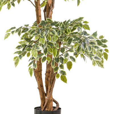 Künstlicher Ficus benjamina, Höhe ca. 165 cm Künstlicher Ficus benjamina, Höhe ca. 165 cm