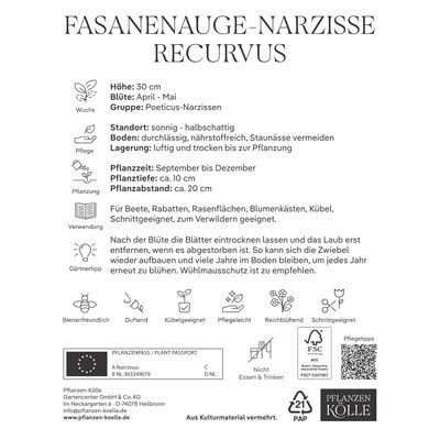 Fasanenauge Narzissen weiß, 5 Blumenzwiebeln Fasanenauge Narzissen weiß, 5 Blumenzwiebeln