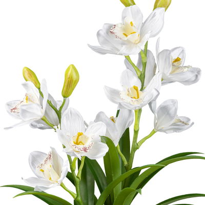 Kunstpflanze Cymbidie, Höhe ca. 58 cm Kunstpflanze Cymbidie, Höhe ca. 58 cm