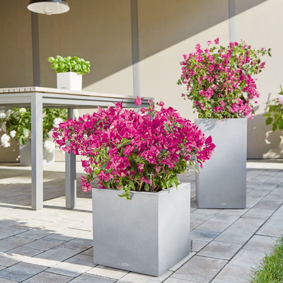 Lechuza 'Canto Stone 40 low', steingrau, ca. 40 x 40 x H 40 cm