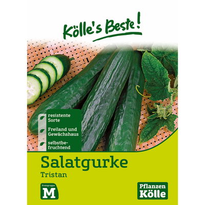 Kölles Beste Salatgurke 'Tristan'