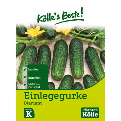 Kölles Beste Gemüsesamen Einlegegurke Kölles Beste Gemüsesamen Einlegegurke