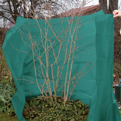 Kölles Beste Schutzvlies, grün, L5 x B1,5 m Kölles Beste Schutzvlies, grün, L5 x B1,5 m