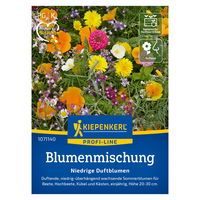Blumensamen, Duftblumen 'Steingarten', rosa, gelb & rot