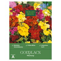 Kölles Beste Blumensamen, Goldlack 'Mischung'