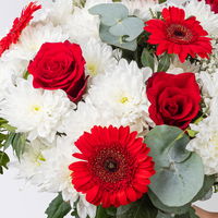 Blumenstrauß 'Prima' rot-weiß, handgebunden