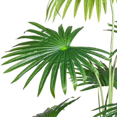 Künstliche Washingtonia Palme, Höhe ca. 120 cm Künstliche Washingtonia Palme, Höhe ca. 120 cm