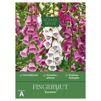 Kölles Beste Blumensamen, Fingerhut 'Excelsior'