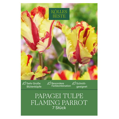 Papagei-Tulpen Flaming Parrot gelb/rot, 7 Blumenzwiebeln Papagei-Tulpen Flaming Parrot gelb/rot, 7 Blumenzwiebeln