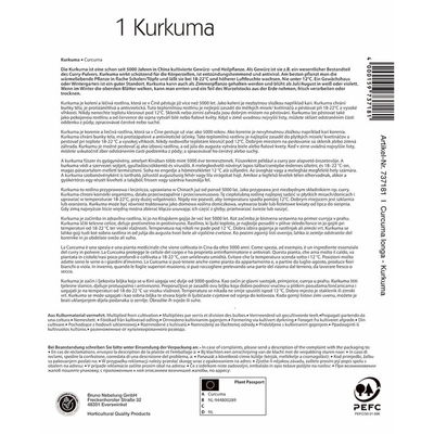 Kiepenkerl Kurkuma Kiepenkerl Kurkuma