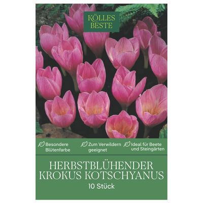 Herbstblühende Krokusse Kotschyanus lila, 10 Blumenzwiebeln Herbstblühende Krokusse Kotschyanus lila, 10 Blumenzwiebeln