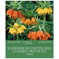 Kaiserkrone (Fritillaria) 3-Farben Mischung, 5 Blumenzwiebeln