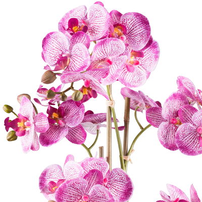 Kunstpflanze Phalaenopsis, pink/silber, Höhe ca. 62 cm Kunstpflanze Phalaenopsis, pink/silber, Höhe ca. 62 cm