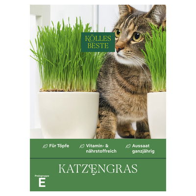 Kölles Beste Saatgut, Katzengras