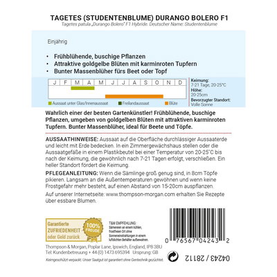 Thompson & Morgan Blumensamen Studentenblume Durango Bolero