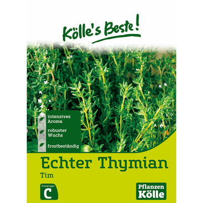 Kölles Beste Thymian Tim mehrjährig, 6,5 g Kölles Beste Thymian Tim mehrjährig, 6,5 g