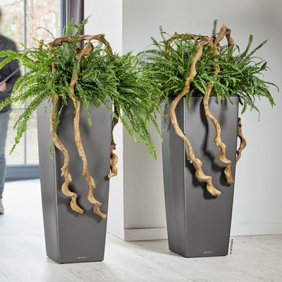 Lechuza 'Cubico Alto 40', anthrazit, ca. 39,5 x 39,5 x H 105 cm